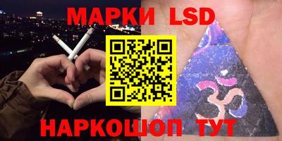 стафф Гай