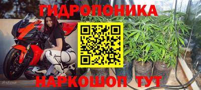 индика Гагарин
