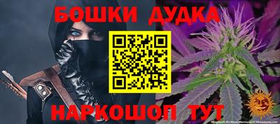 индика Гагарин